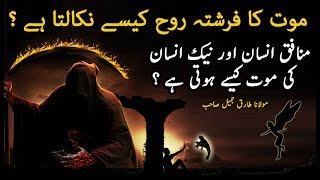 Mout Ka Farishta Rooh Kese Nikalta He  | Marne K Bd Zindagi | Death Moments | Maulana Tariq Jameel