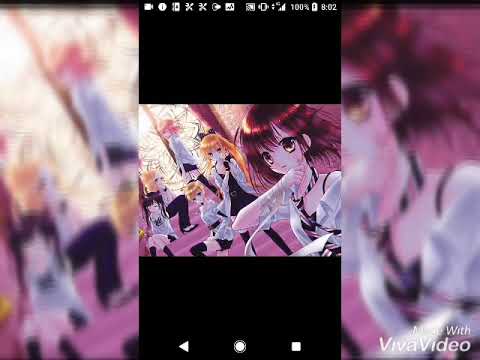 紅蓮華