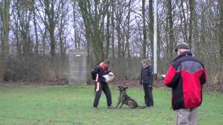 Pakwerk-B Jack Stienstra.wmv