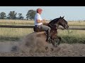 Enseñar un caballo a parar.  Entre dos mundos, PGM 2