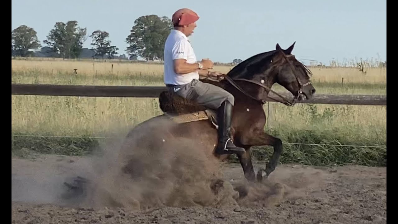 Enseñar un caballo a parar.  Entre dos mundos, PGM 2