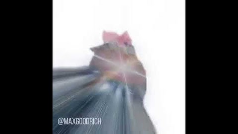 Cat Transcendence