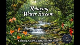 Rainfall in the Costa Rica Rain Forrest — Soft Music for Deep Sleep & Relaxation