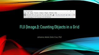 FIJI (ImageJ): Counting Objects in a Grid