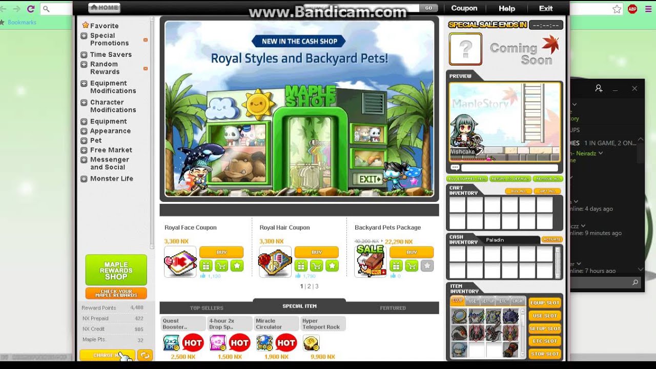 (Maplestory) Quick Guide to Charging NX via Steam