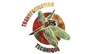 Transformation Technique Testimonial By Pascale