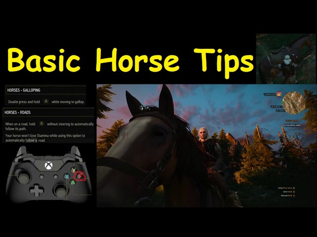 The Witcher 3 Horse Tips - YouTube