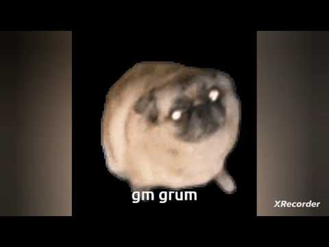 Pug Vibing to Earthbound Hotel OST #cute #funny #earthbound