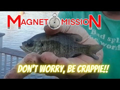 Fishing Sawmill Pond 20230424 Youtube