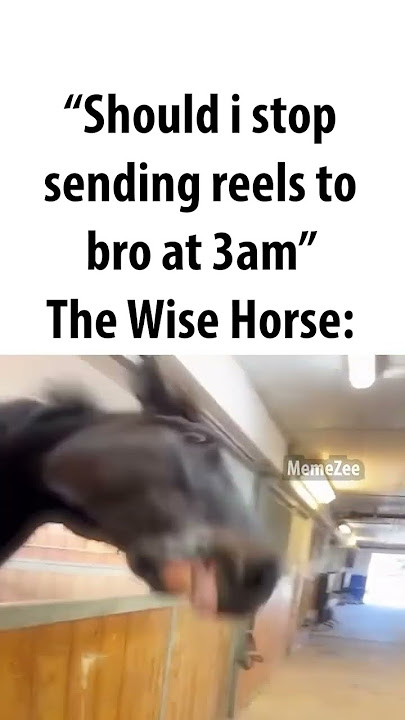 the wise horse