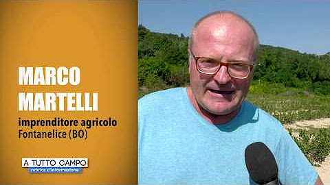 c Romagna Occidentale Youtube