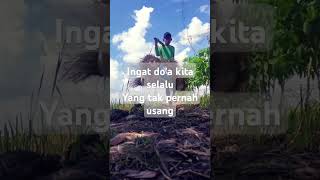 Download Lagu Yakin waktunya kan datang!! MP3