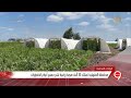 نشرة التاسعة محافظة الدقهلية تمتلك 30 ألف صوبة زراعية تنتج جميع أنواع الخضروات نشرة التاسعة محافظة الدقهلية تمتلك 30 ألف صوبة زراعية تنتج جميع أنواع الخضروات