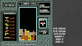 61 lines on level 29 in NES Tetris (PB)