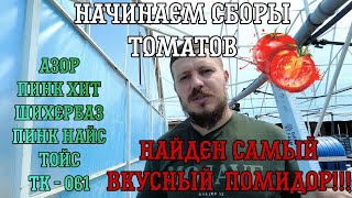 Начинаем сборы, есть лидер!  Результаты опыта со СТАРТЕКО