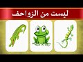 15 لغز سهل لن يستطيع الكبار حلها | الغاز للاذكياء وحلولها