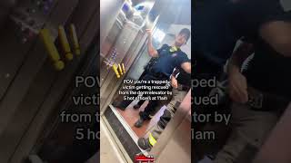 Povtheir Arrival Is Like A Beam Of Light