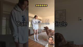 Her boyfriend&#39;s dog😂 #goldenretriever #funny #greenscreen #dog #pets #dogs #shorts #fun #animals