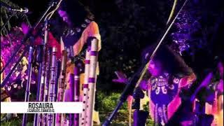 Download lagu ALBORADA - Rosaura