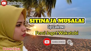 Download Lagu Joget Wakatobi Terbaru 2023 \ MP3