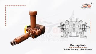 Roots Rotary Lobe Blower | FactoryHelp