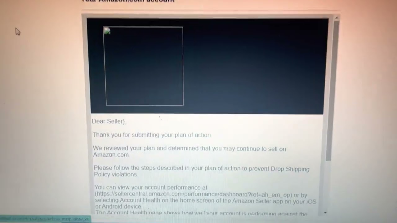 Amazon Seller Account Suspension: Reasons and Reinstatement