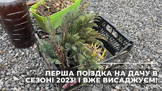 :      2023.  !