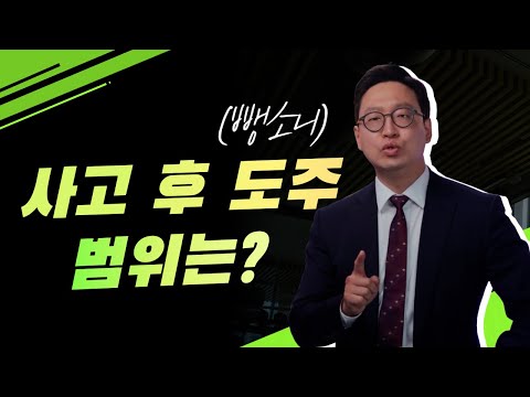   교통사고 후 도주 뺑소니의 범위는 597회