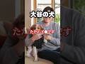 大谷翔平の犬が欲しい… #shorts