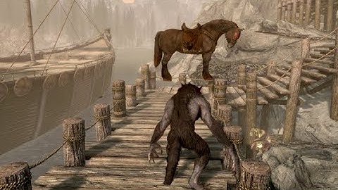 Skyrim Funny Moments Montage