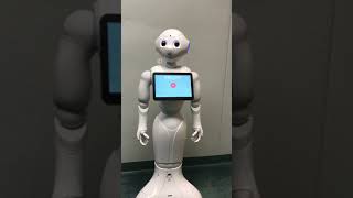 IMG 2474