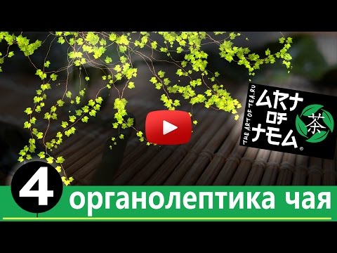 Органолептика, Правильный выбор чая и хранение чая. Часть 4