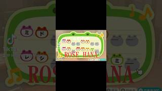 #rose #hana  #jisoo #momoka #mahina #chika #naoko