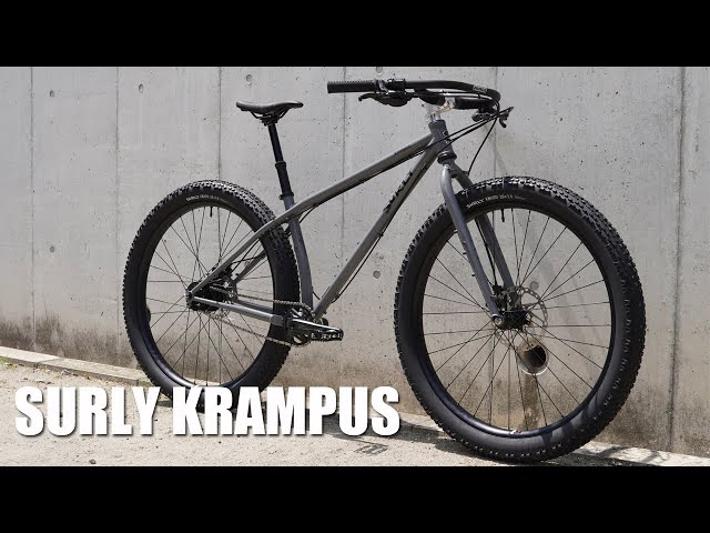 Custom painted SURLY KRAMPUS with Shimano ALFINE 11-speed internal