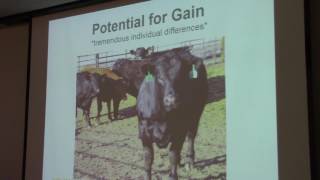NDSU Calf Backgrounding Seminar 1