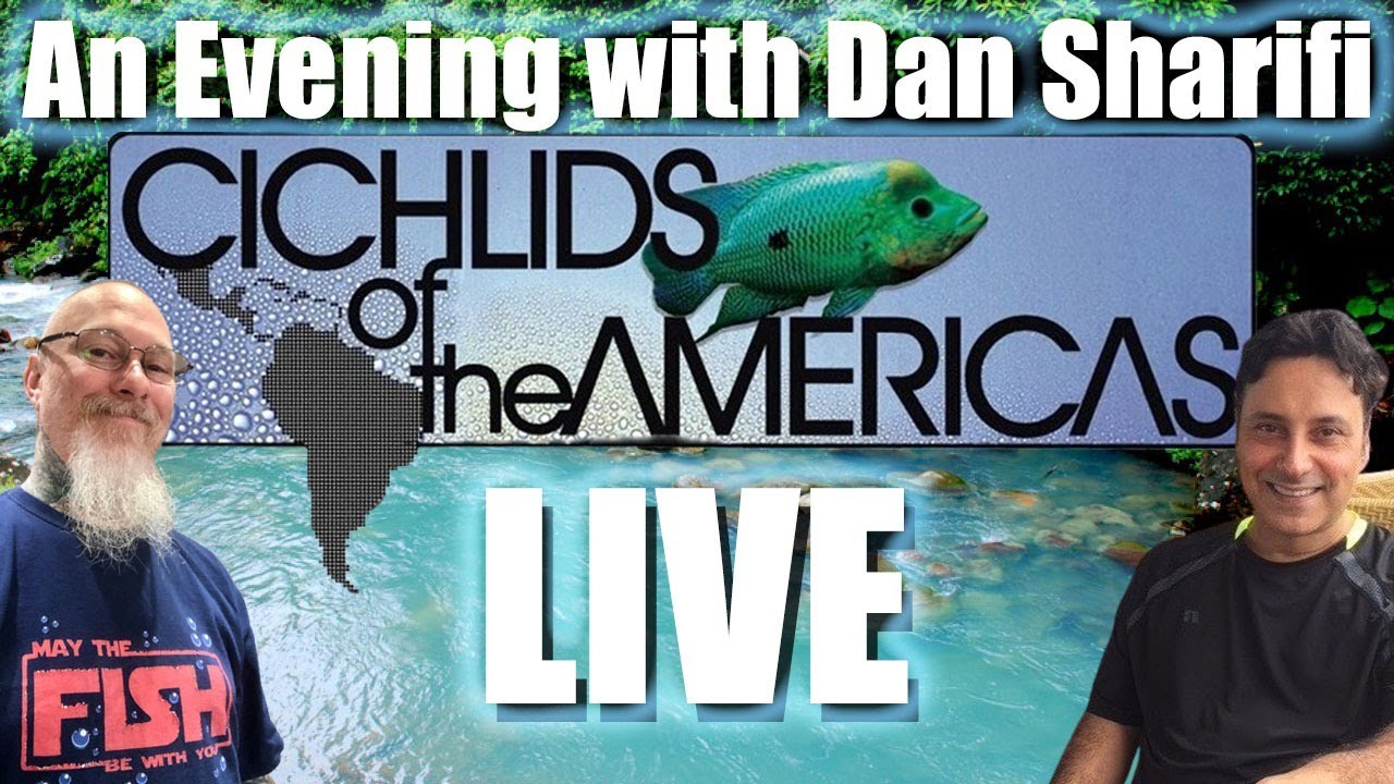 LIVE with Dan Sharifi: Cichlids of the Americas