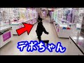 こいつに会いに東京に来た