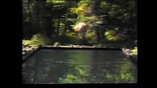 Bill Viola   Reflecting Pool