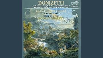 Flute Quartet No. 16 in B Minor: IV. Finale. Allegro