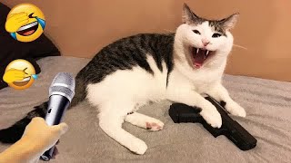 New Funny AnimalsBest Funny Dogs and Cats Videos Of The Week   part 2