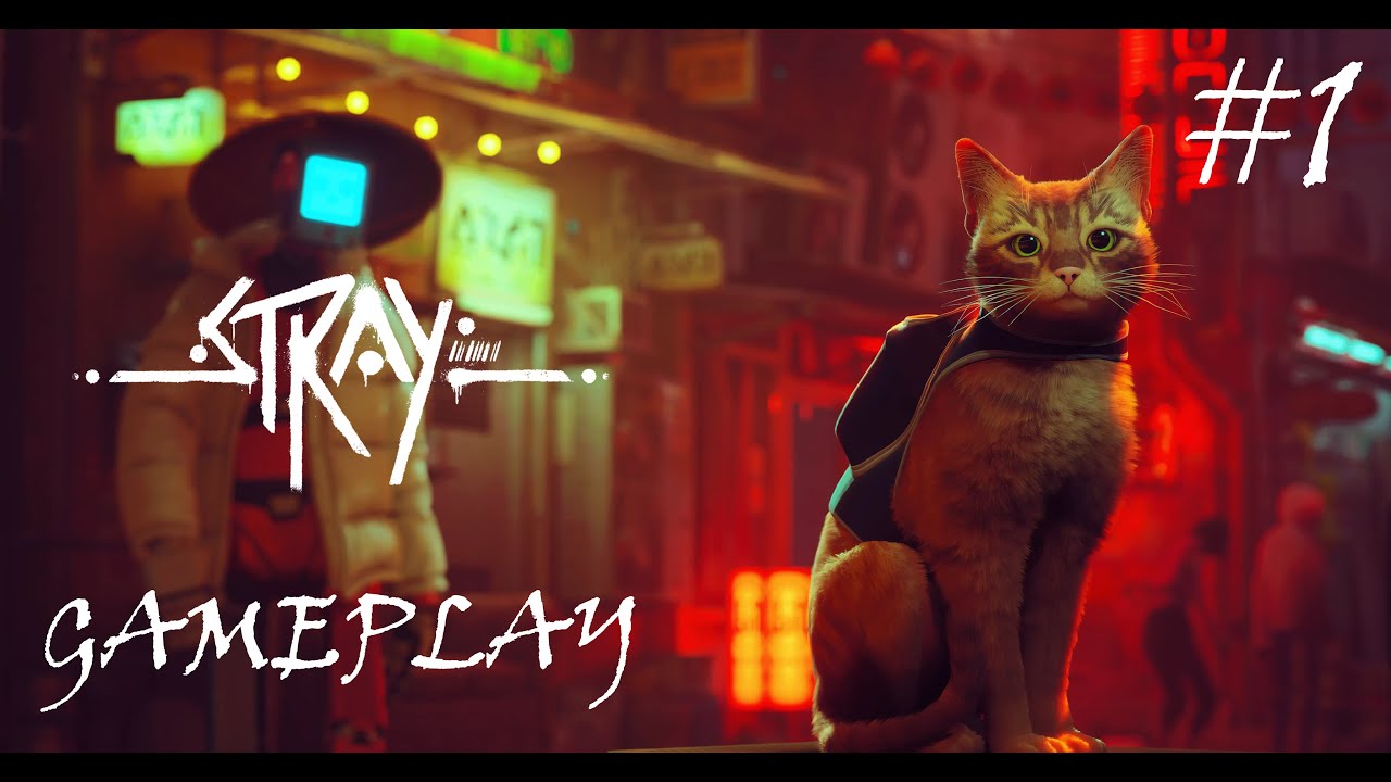 Live - Stray - story gameplay #1