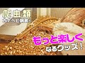 カナヘビや爬虫類飼育が「もっと楽しくなる」飼育グッズを紹介します!