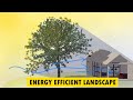 Sustainable Landscapes: How to make your yard energy efficient