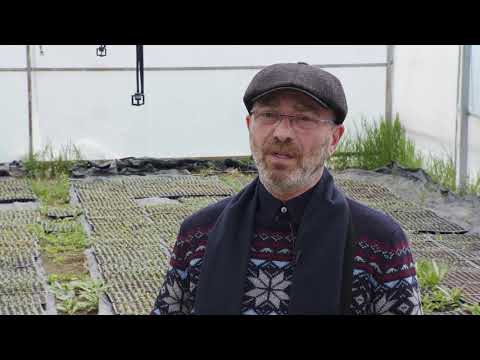 საჩითილე სათბური / Greenhouse Seedling