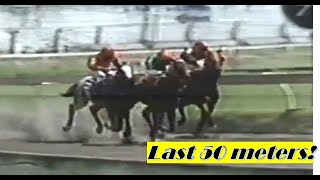 900 meters naparemate ko sya. warning sign 1990, DUST to DAWN by jockey CAMU 1993