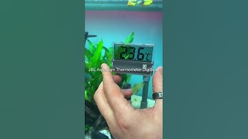 🌡️✔️ JBL Aquarium Thermometer DigiScan - Digital adhering thermometer #shorts #meinjbl #myjbl