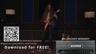 TONEX PROFILE CAPTURES From MEGASOUND STUDIOS Audio Samples