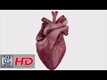 CGI 3D Tech Demo : &quot;Heartworks - Heart&quot;  - by Glassworks VFX