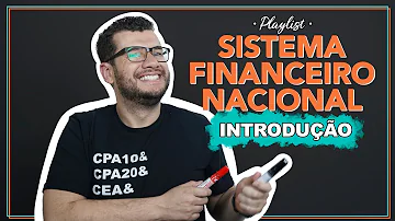 Quais os subsistemas que compõem o SFN e suas respectivas funções?