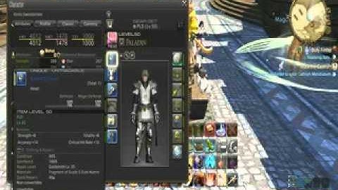 My Level 50 Paladin—  Final Fantasy XIV